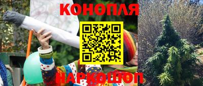 молекула духа Ярославль