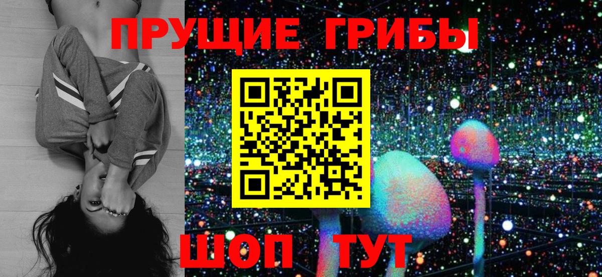 Галлюциногенные грибы Psilocybine cubensis  Вход с VPN  Владикавказ 